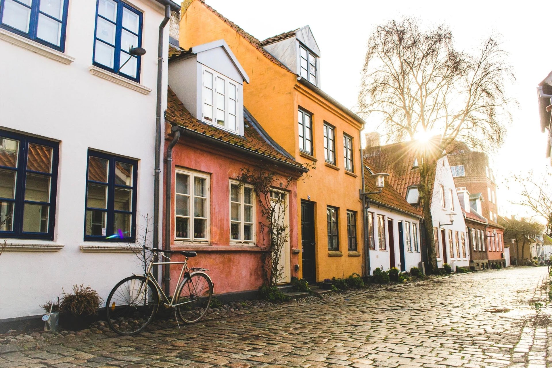 Row of colorful houses on a cobblestone street with a bicycle parked outside and sunlight filtering through trees.