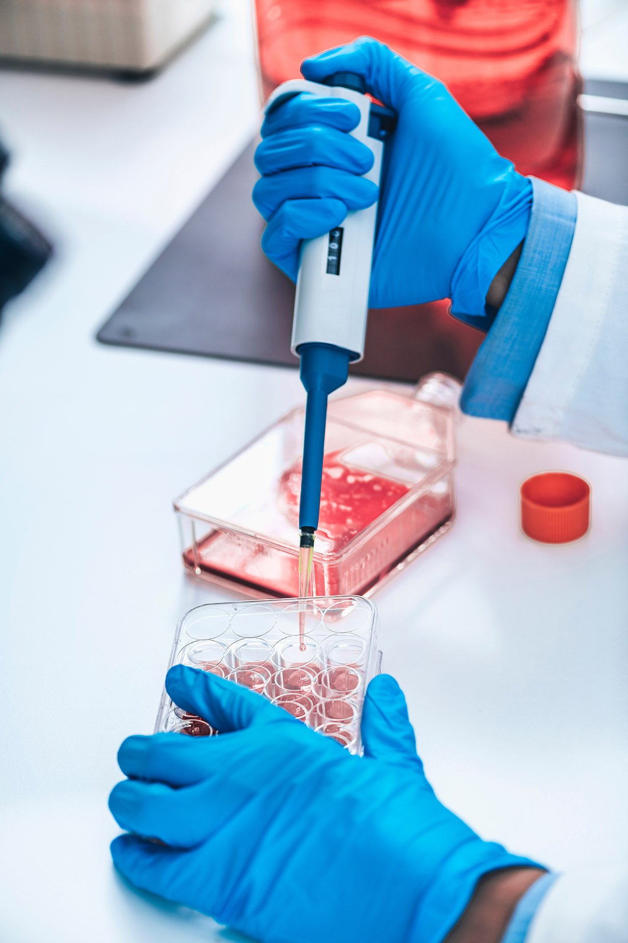 Scientist using a pipette to transfer liquid into a cell culture plate in a laboratory.