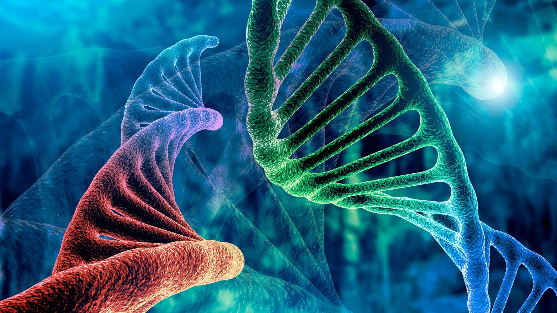 Female scientist using a computer in a modern laboratory setting.