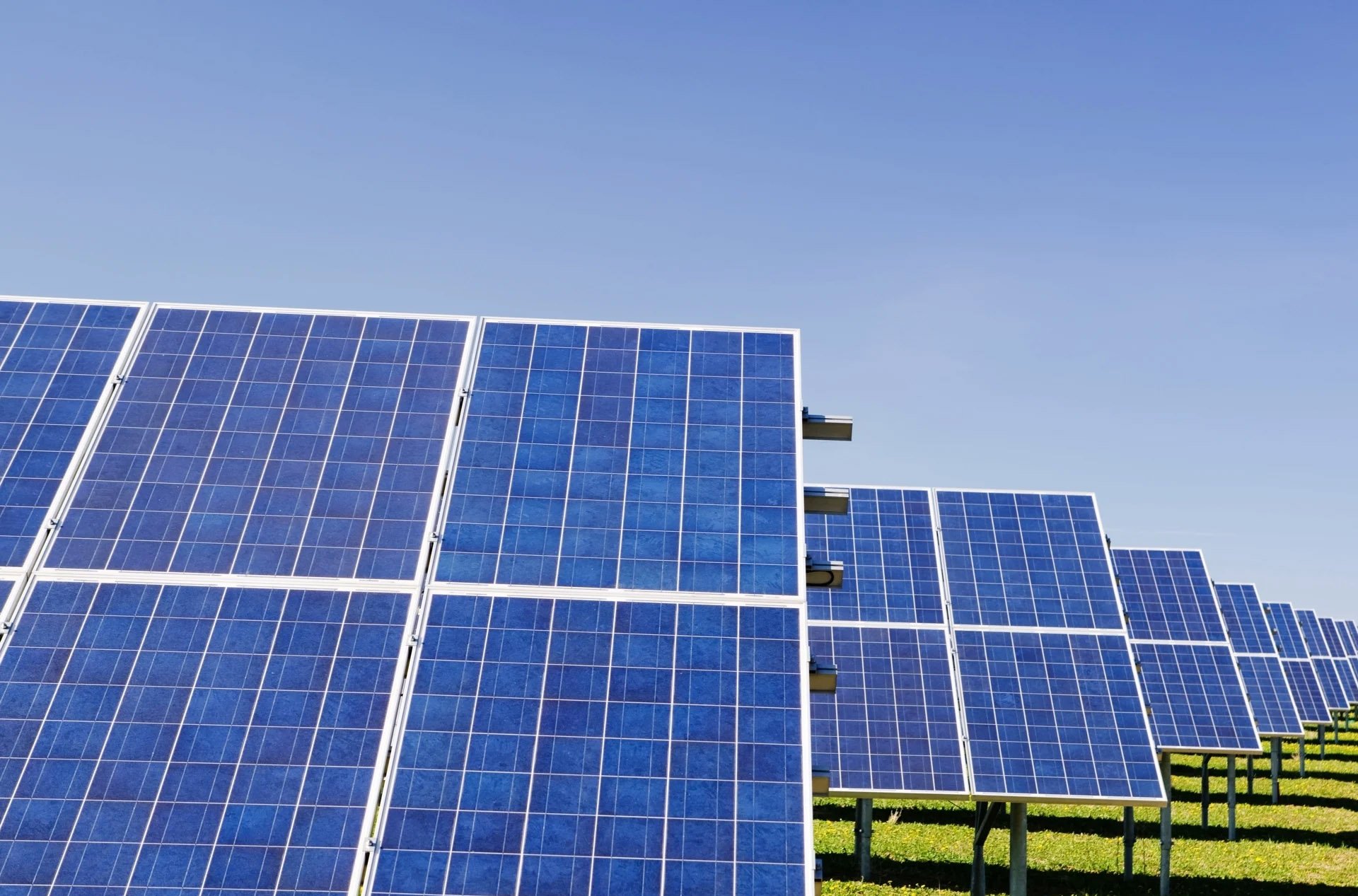 Rows of blue solar panels installed on a grassy field under a clear sky.