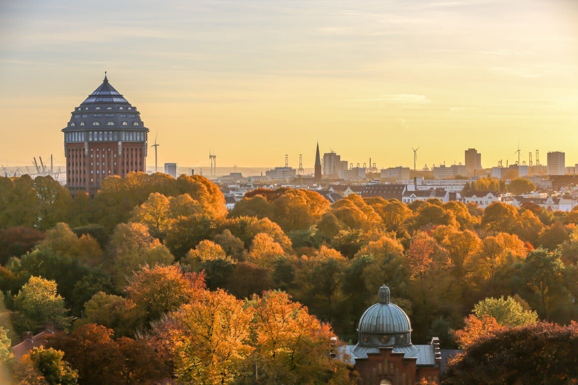 A panoramic view of a city skyline at sunset, with vibrant autumn foliage in the foreground and a distinctive tower in the background.