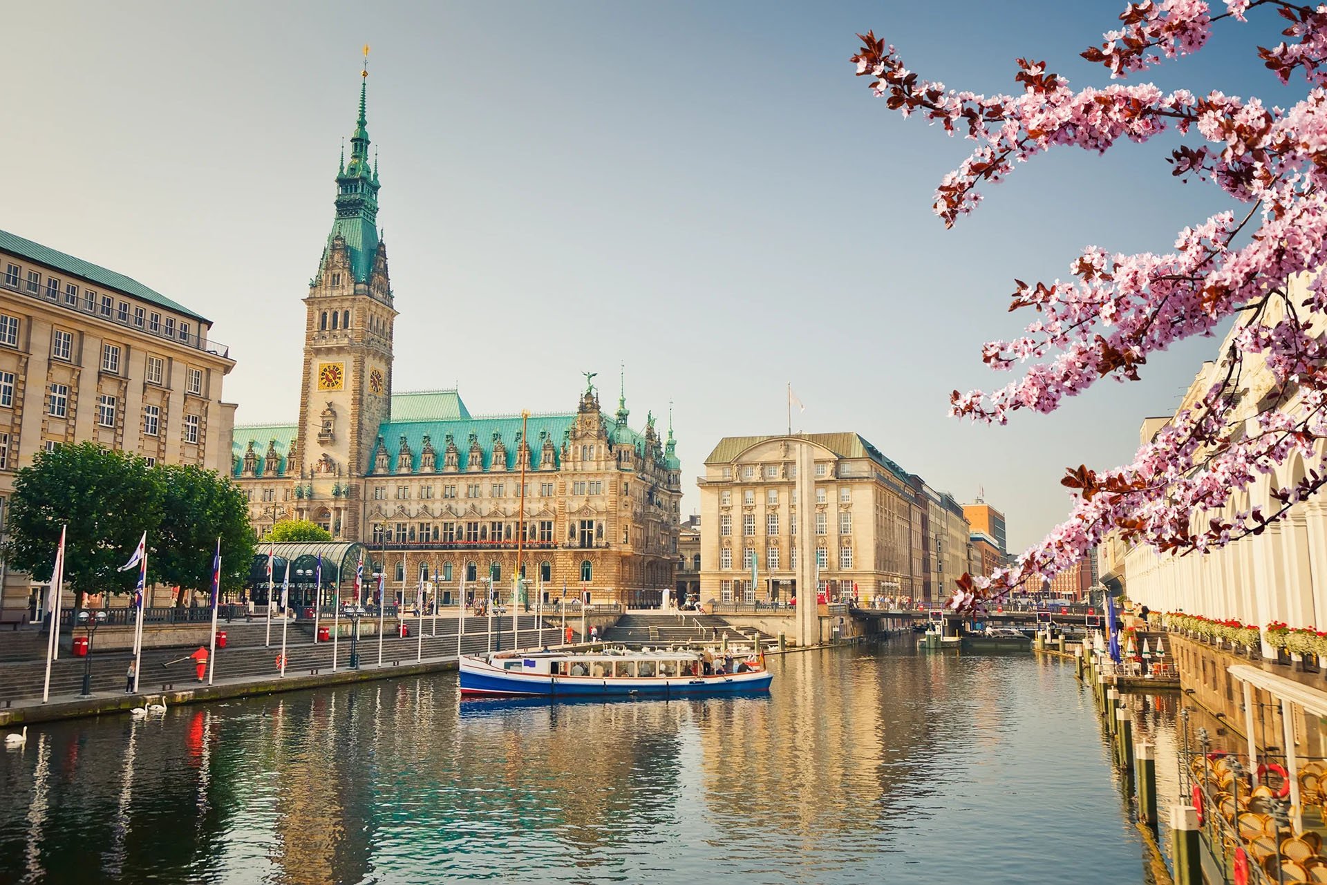 View of Hamburg's picturesque town hall with a boat on the canal, framed by blooming cherry blossom branches in the foreground.